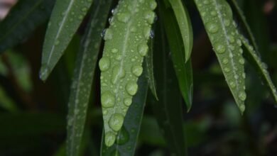 call drop frequency analysis