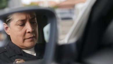 telecom fraud monitoring authority